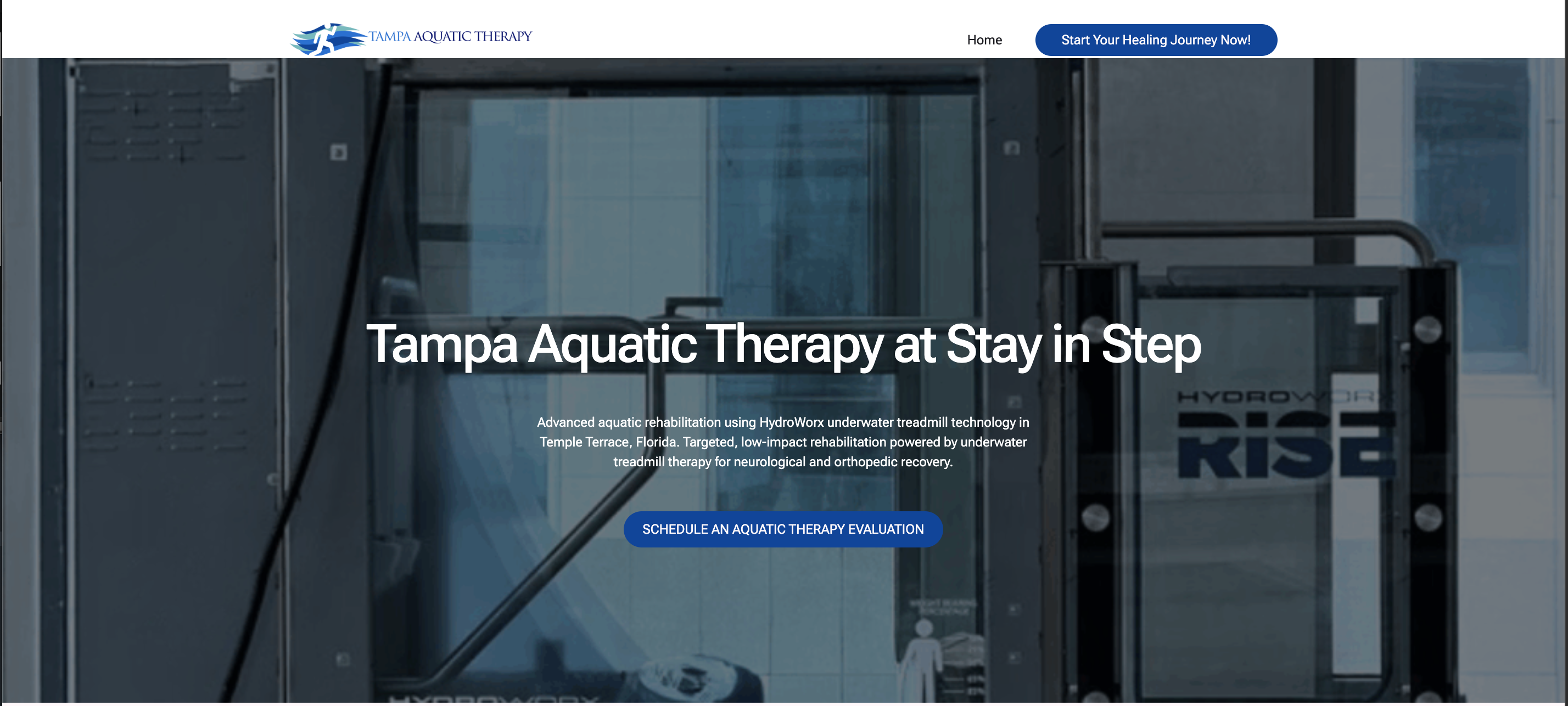 tampa aquatic therapy